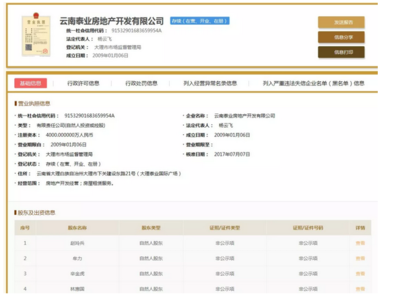 泰业地产强势入驻巍山，首战告捷 359套房源售罄，揽金3.5亿